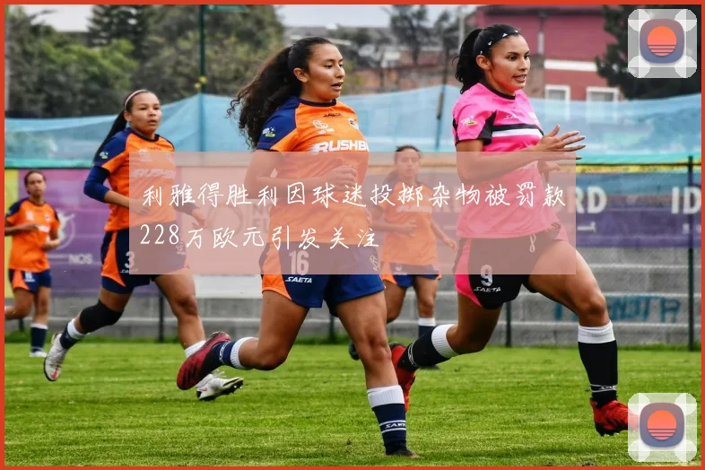 利雅得胜利因球迷投掷杂物被罚款228万欧元引发关注